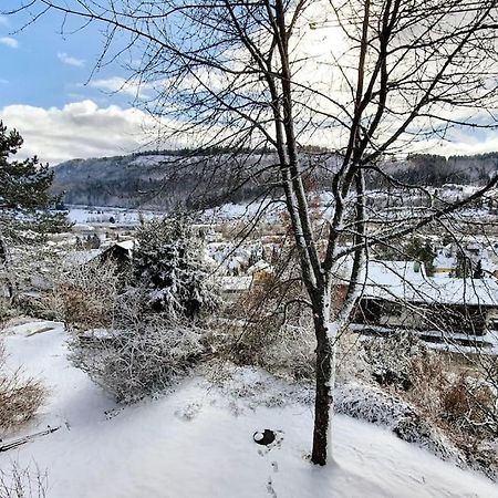 Studiowohnung Schwabenalb Mit Panoramablick Albstadt Eksteriør billede