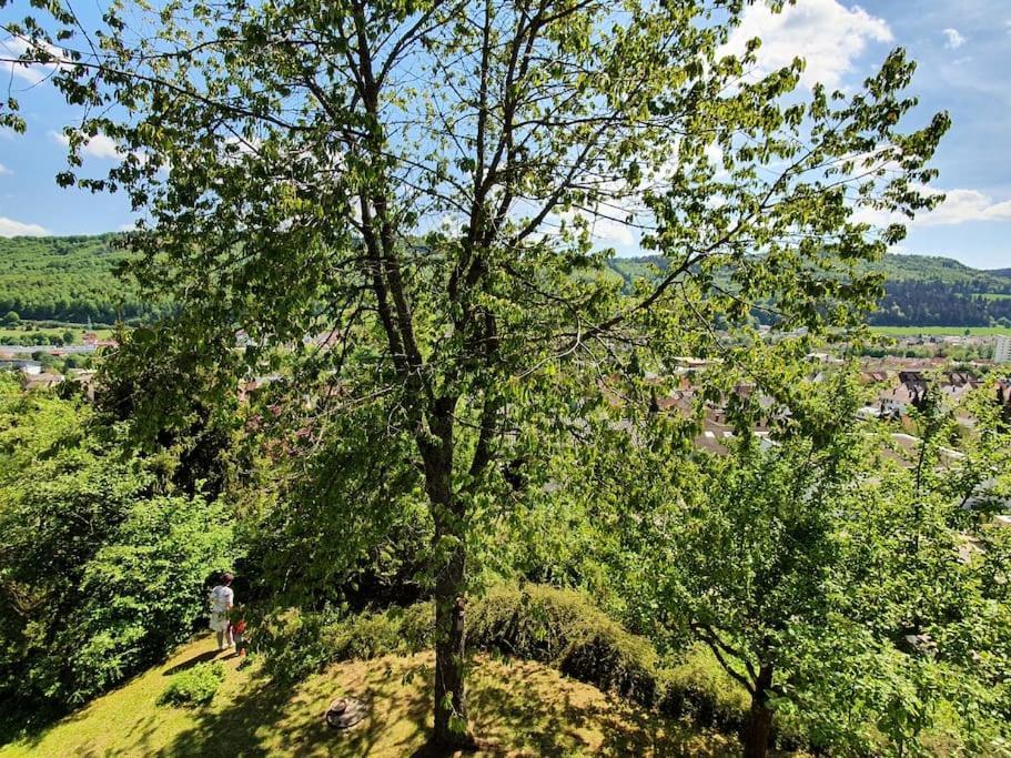 Studiowohnung Schwabenalb Mit Panoramablick Albstadt Eksteriør billede